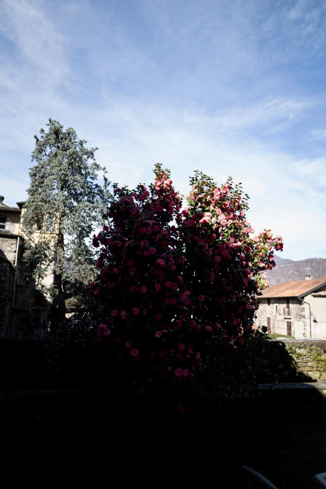 Villa L&B House Orta San Giulio Exterior foto